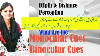 Depth perception in psychology: What are Monocular and Binocular Cues| #wellnessbyfarah #urdu/Hindi