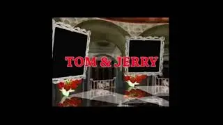 schafter - tom & jerry (speed song)