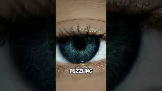 The CRAZY SCIENCE Behind Optical Illusions (Mind-Blown Explanations!) #opticalillusion #facts