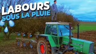 Les LABOURS 2024 (Vidéo BONUS)