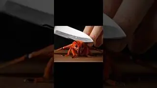 cutting Red Butterfly 🦋