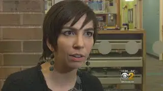 Newly-Elected Naperville Representative Says She's Being 'Threatened' Because She Wants Madigan Out