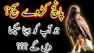 Bitter sad reality quotes Urdu/Hindi ||5 truth of reality || Very inspiring reality quotes on life |