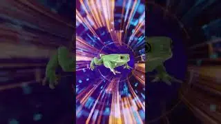 New Song FROG HOPPER Out Now!
