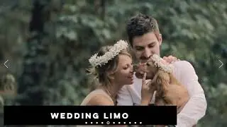 Chicago Limousine Rentals   Chicago Limousine Service, Cheap Limo Service in Chicago IL