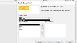 16. Simple Query Wizard