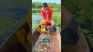 River Eel Trap Catches So Many Eels! You Won&rsquo;t Believe This Simple Fishing Trick! #shorts #trap
