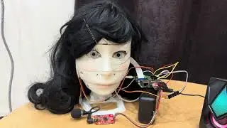 Humaniod Robotic Head Brain HRHB :Case_3 : Passport: Invalid