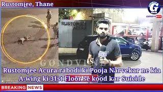 Rustomjee Acura Rabodi में देर रात 31वी मंज़िल से गिरी महिला @GondviNews