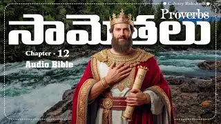 Proverbs Chapter 12 Telugu Audio Bible | Wisdom vs Foolishness | Bible Listening
