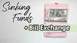SINKING FUNDS | Cash Envelope System | Budget for Beginners |Giveaway Winner Announced| MONETS MONEY
