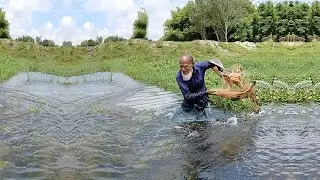 Poor Fisherman&rsquo;s Skillful Cast Net Fishing - Unbelievable Village Fish Hunting