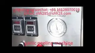 Commercial garlic peeling machine garlic peeler garlic skin removing machine