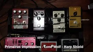 Primeiras impress&otilde;es - Lone Wolf 1/4 - Harp Shield