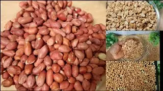 OVEN ROASTED PEANUT/How to roast groundnut in the oven in 15minutes/best recipe#peanut #snack