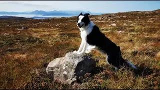 Roadtrip Schottland 2023 - Eine wunderschöne Reise durch die Highlands mit 35jährigen James Cook