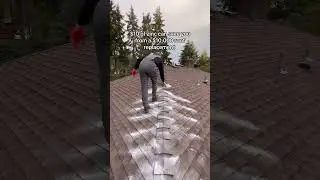 The classic anti moss roof treatment