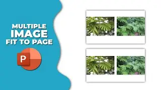 How to insert multiple image fit to page in PowerPoint on different slides