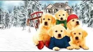 Golden Winter      Family / Comedy Christmas  Dog Movie