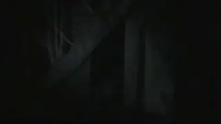 Fantome r&eacute;el.wmv