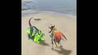 You can play fetch with the dog in Monster Hunter Rise: Sunbreak