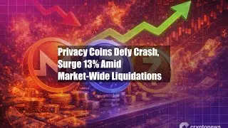 Privacy Coins Defy Crash, Surge 13% Amid Market-Wide Liquidations