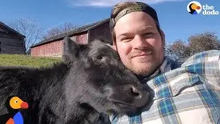 Amazing Man Turns Family Farm Into Animal Sanctuary | The Dodo