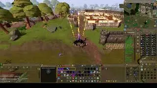 Runescape 20 year Veteran Cape