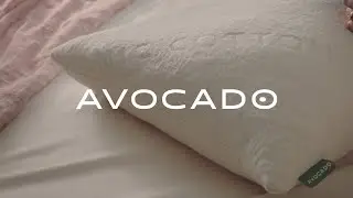 Organic Pillows &mdash; Avocado Green Mattress&reg;