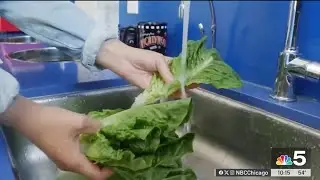What do all the recent food recalls say about the safety of the food supply?