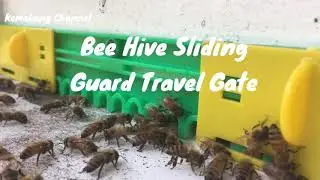 Bee Hive Sliding Guard Travel Gate (Anti-escape Door Entrance Beekeeping Tool) 🐝🐝🐝