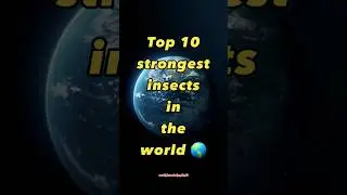 Top 10 strongest insects in the world . ##insects #world #viral ..
