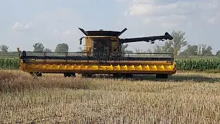 New Holland CR 10.90 mit 12,60 m VariFeed Schneidwerk im Raps
