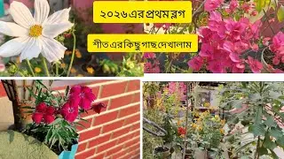 2026 er pratham blog || sith er kichu Gach dekhalam #youtube #youtuber #blog#firstblog#subscribe 