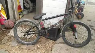 Bmx check up