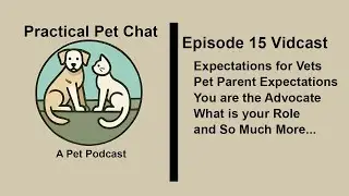 Practical Pet Chat   Episode 15   Expectations for Veterinarians and pet parents plus more