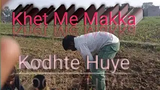 Khet Me Gaye Makka Kodhne 😀 Family Her