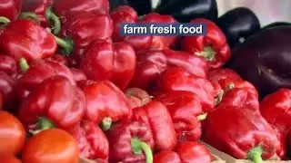 Make Healthy Happen Miami - Healthy Food