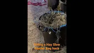 Horse slow feeder hack