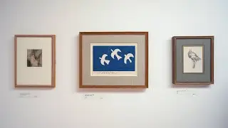Garman Ryan Collection tours: Animals & Birds