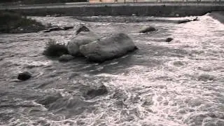 DSCF5175