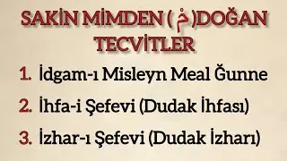 Sakin Mimden Doğan Tecvitler - İdgam-ı Misleyn Meal Ğunne, İhfa-i Şefevi, İzhar-ı Şefevi 
