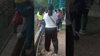 Animaya Felinario 2