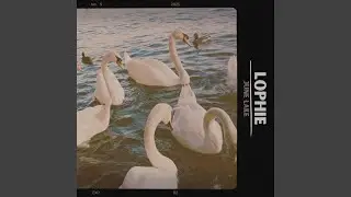 June Lake
