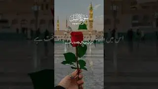 Quran tarjuma #islam #education #tarjuma #yt #2024 #scienceeducationalworld