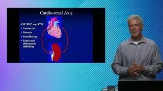 Quick Hits in Lab Medicine: Biomarkers of Heart Failure