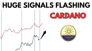 ADA: Massive Signals for CARDANO Flashing 