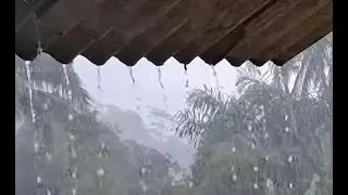 The Best Heavy Rain in the World 🌧️ | Fast Sleep Therapy, Relaxation, and Soul Healing