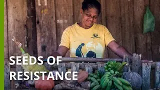 In Brazil&rsquo;s Ribeira Valley, traditional communities combine farming and conservation