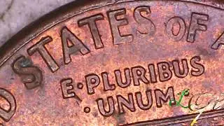 1991 Lincoln Cent Penny Die Crack Reverse Bottom Right Corner Error Coin #subscribe #coin #newvideo 